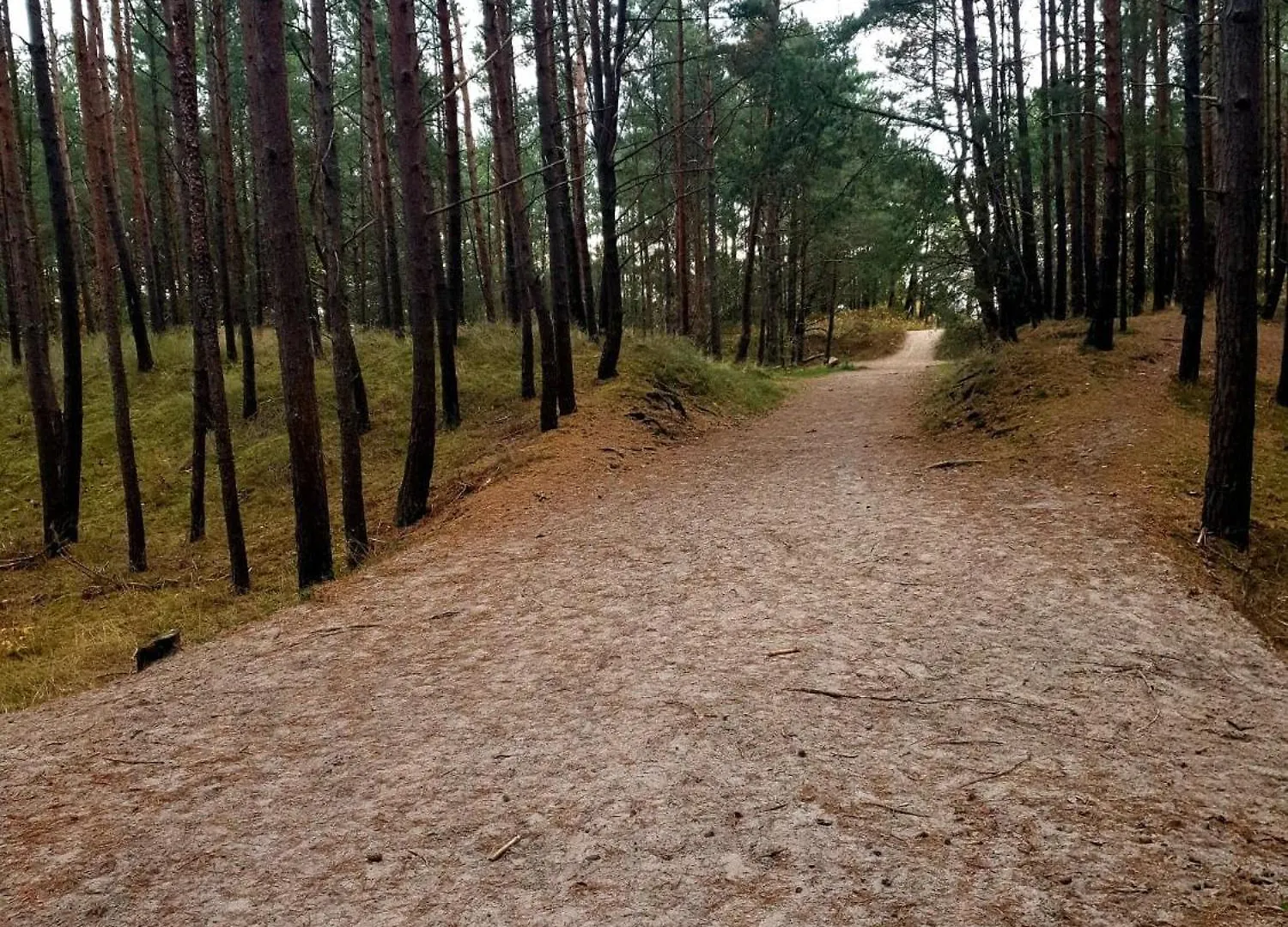 Baltic Line - Nova Apartamenty Gdańsk Polen